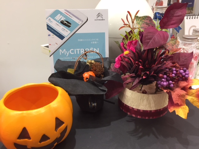 Happy Halloween！