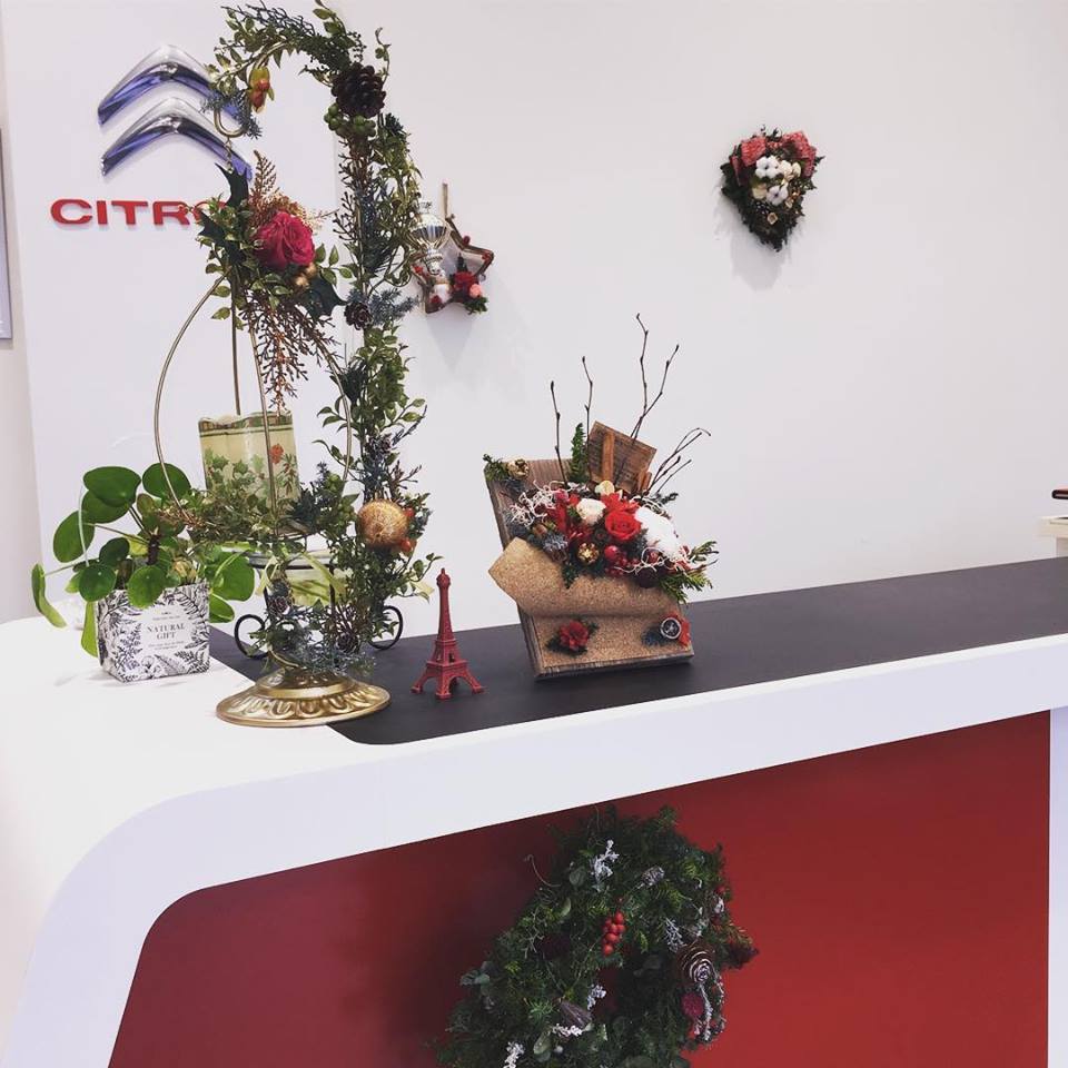Merry Christmas!